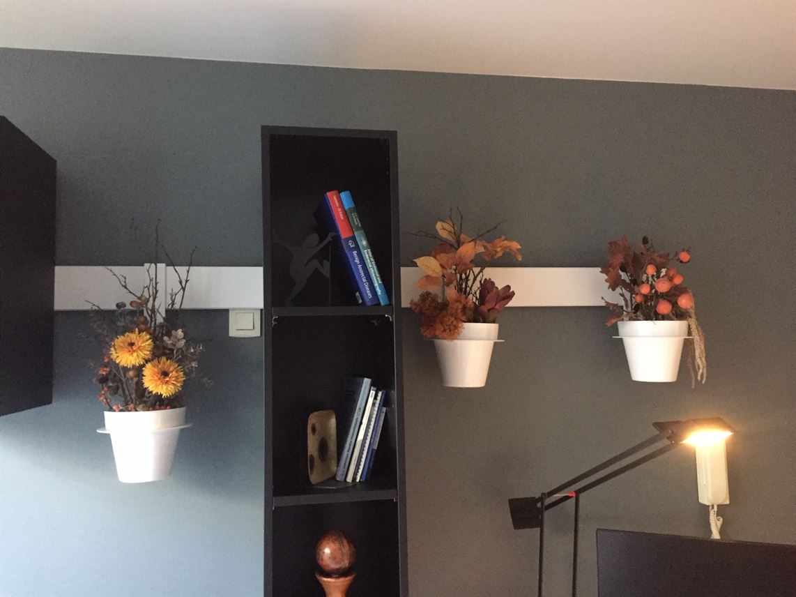 VASES SUSPENDUS