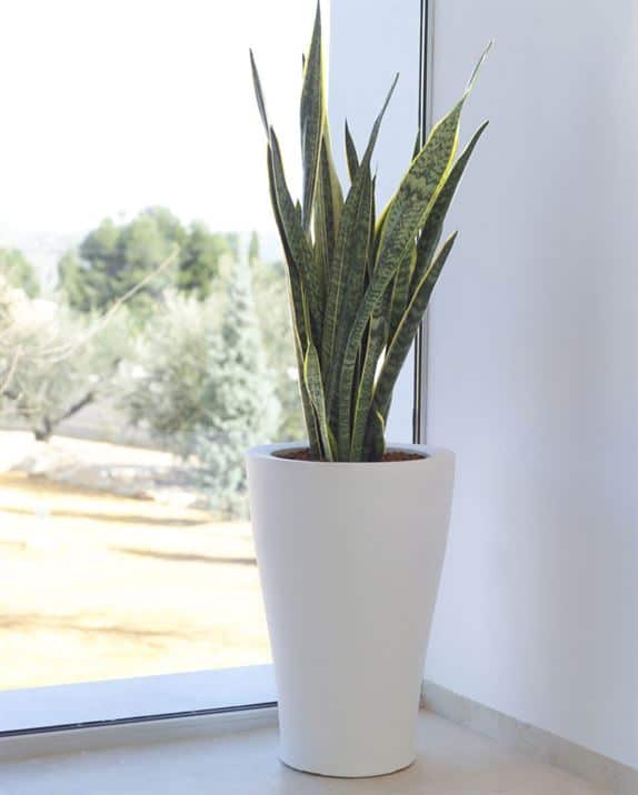 végétal, pots, vases et pots de fleurs, vases and pots, pots de fleur design, vases contemporains, végétal, vases et pots extérieur, vases et pots design, pot blanc
