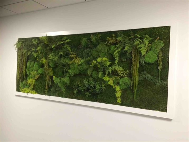 cadre bois vegetal, tableau végétal, cadre végétal artificiel, cadre végétal stabilisé, tableau végétal, tableau végétal stabilisé sur mesure, design végétal, art végétal, création végétale