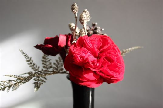 fleurs stabilisees
