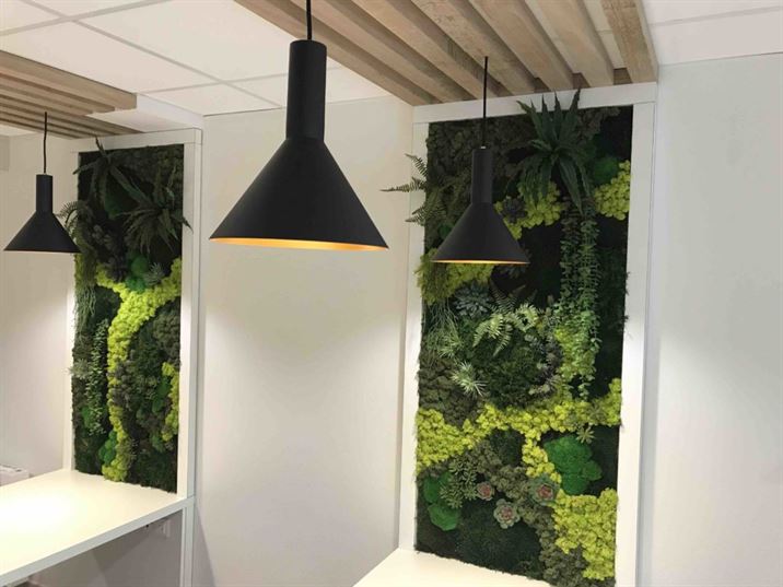 cadre bois vegetal, tableau végétal, cadre végétal artificiel, cadre végétal stabilisé, tableau végétal, tableau végétal stabilisé sur mesure, design végétal, art végétal, création végétale