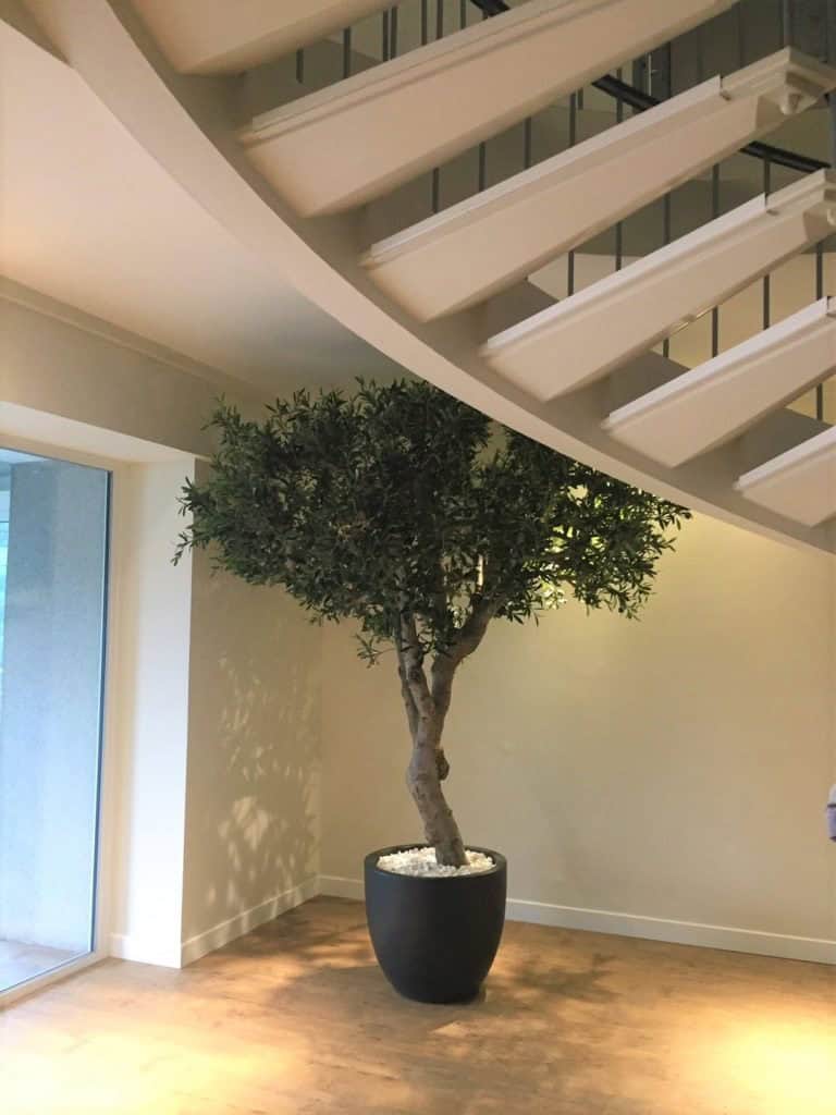 plante artificielle intérieur haut de gamme, arbre, arbre artificiel réaliste, haut de gamme, décoration, arbre synthétique, faux arbres, arbre artificiel intérieur, vases contemporains, vase design, arbre artificiel