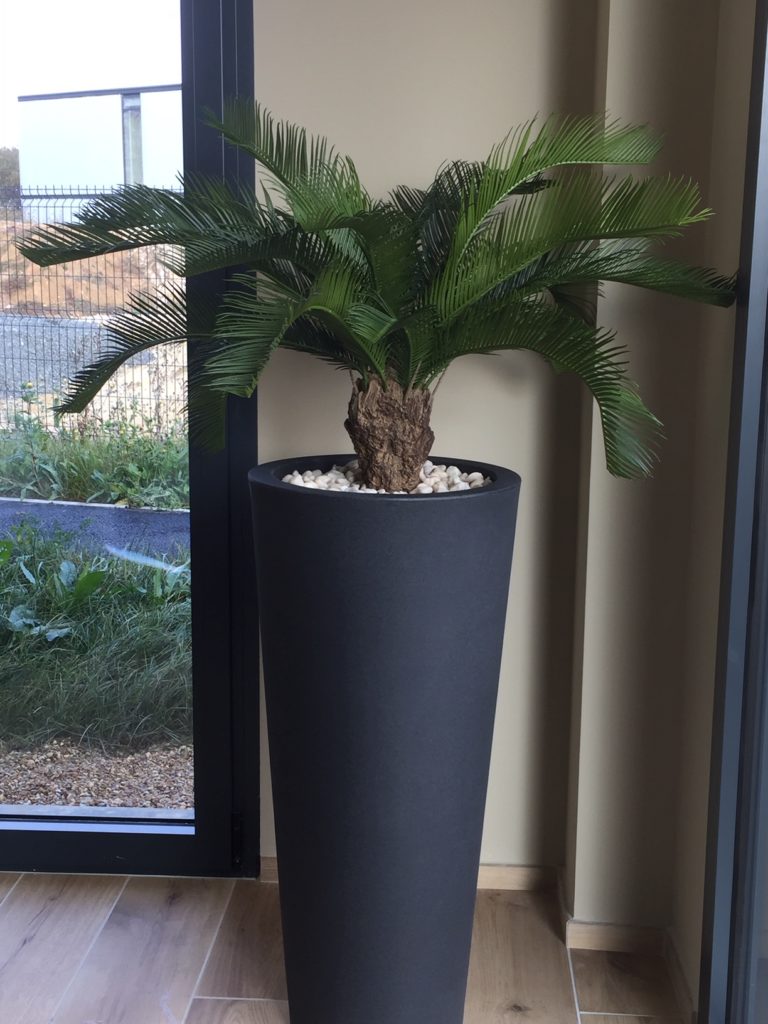 plante artificielle intérieur haut de gamme, arbre, arbre artificiel réaliste, haut de gamme, décoration, arbre synthétique, faux arbres, arbre artificiel intérieur, vases contemporains, vase design évasé, palmier, palmier, palmier d'intérieur