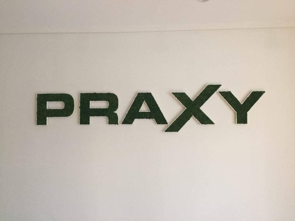 logo, logo végétal, logo végétal d'intérieur, logo praxy, lettres végétales