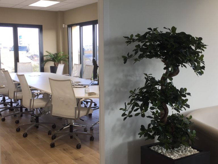 plante artificielle intérieur haut de gamme, arbre, arbre artificiel réaliste, haut de gamme, décoration, arbre synthétique, faux arbres, arbre artificiel intérieur, vases contemporains, vase design, arbre artificiel, plante d'intérieur SVSI