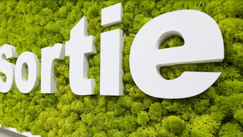 logo, logo végétal, logo végétal d'intérieur, logo sortie, lettres végétales