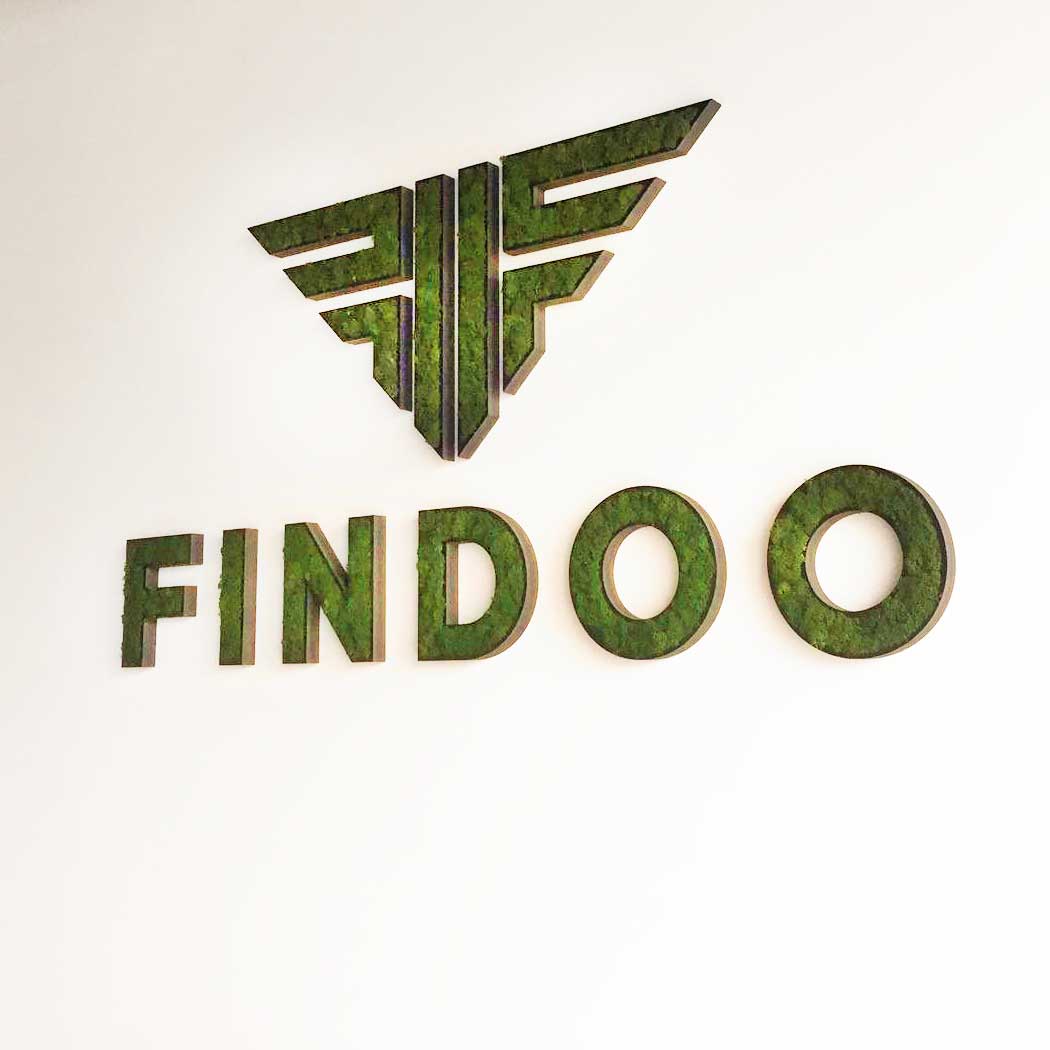 logo végétal 3D de la marque Findoo