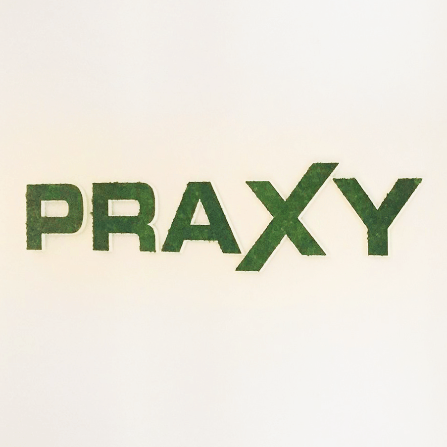 logo végétal praxy