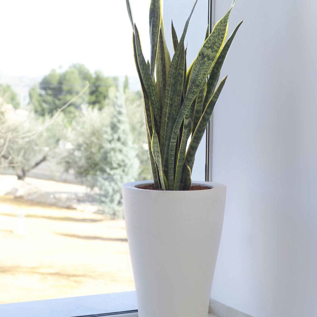 pots blanc pour plante, vases et pots de fleurs, vases and pots, pots de blanc design, vases contemporains, vases design, vase design blanc, plante artificielle, plante artificielle d'intérieur haut de gamme, plante artificielle extérieur haut de gamme