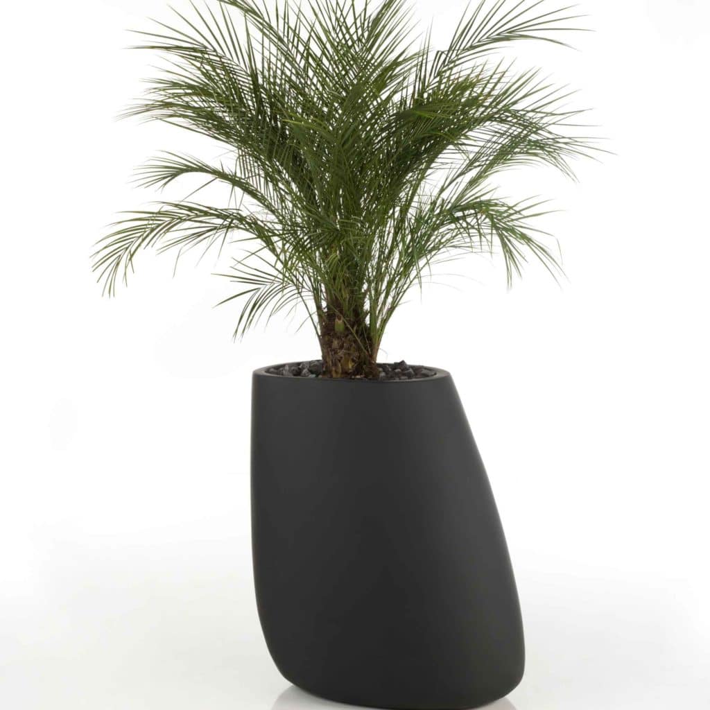 pots pour plante noir, vases et pots de fleurs, vases and pots, pots design, vases contemporains, vases design, vase design noir, plante artificielle, plante artificielle d'intérieur haut de gamme, plante artificielle extérieur haut de gamme, pot en pierre, pot en pierre noire
