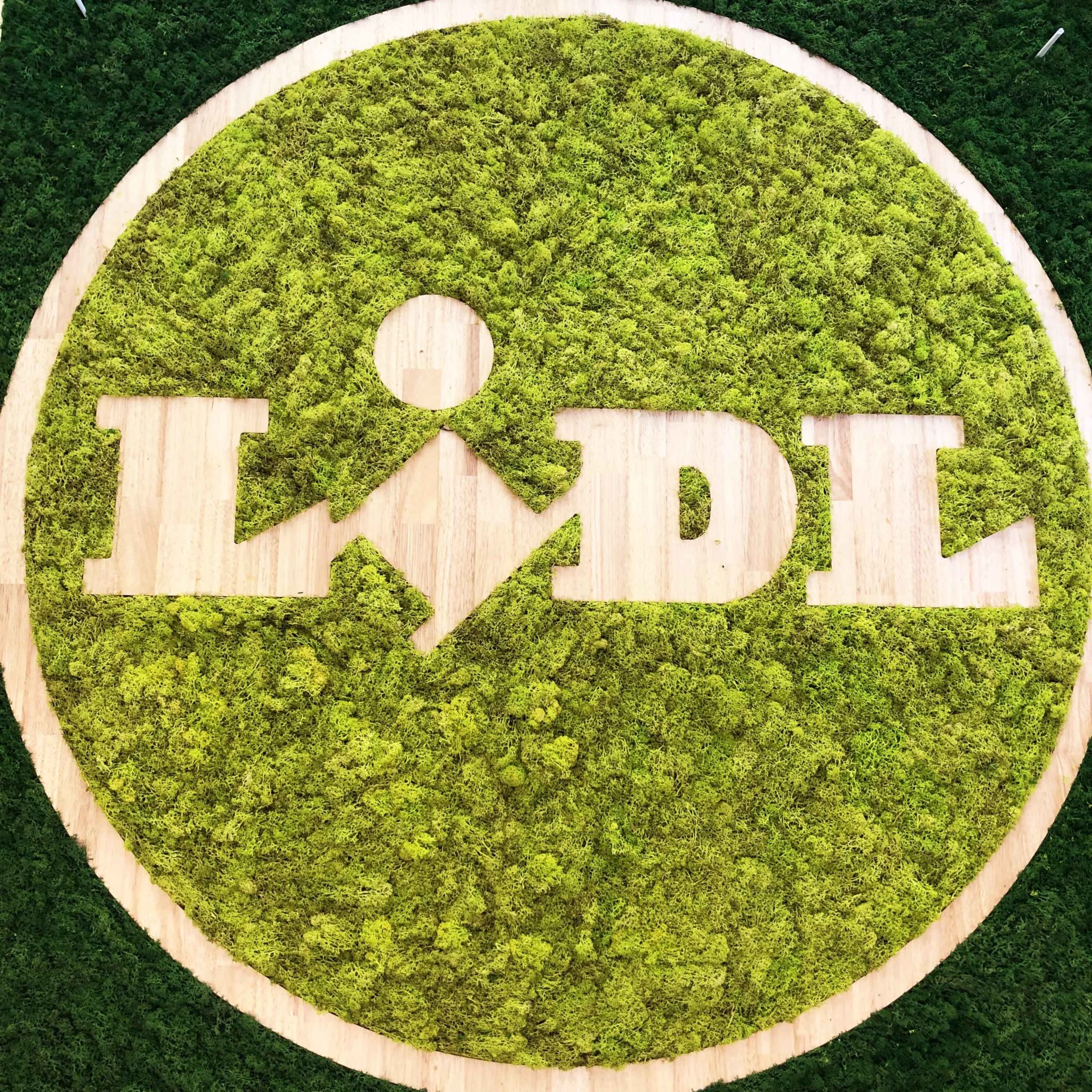 logo, logo végétal, logo végétal d'intérieur, logo lidl, lettres végétales, logo végétal 3D, logo végétal lidl