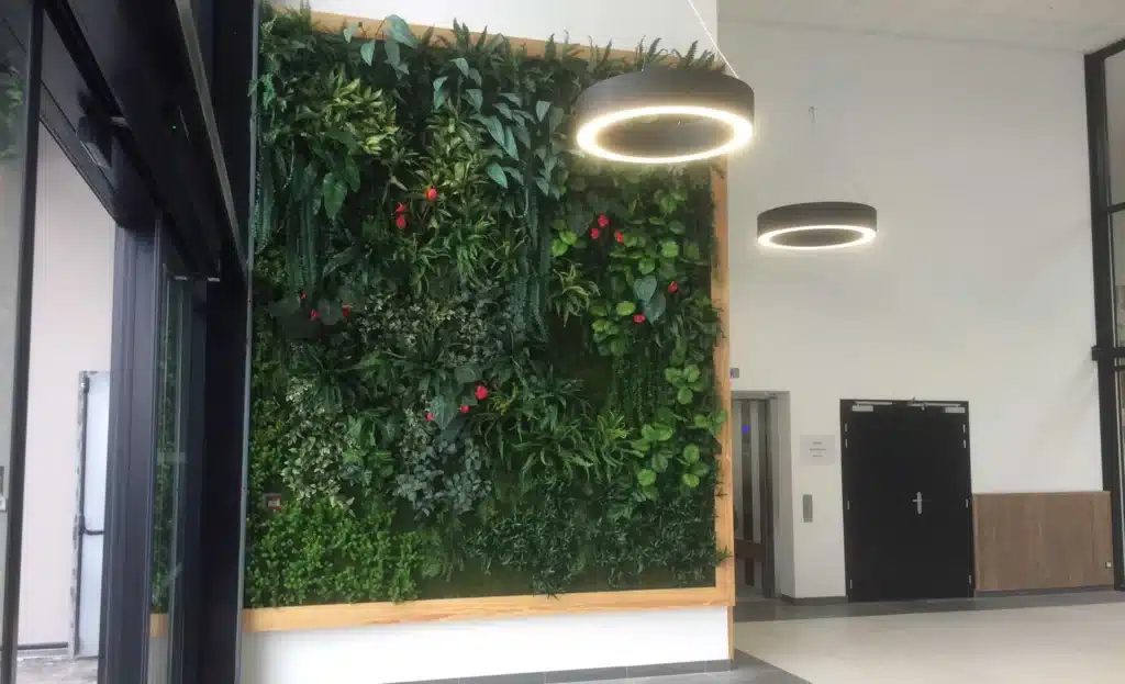 mur végétal stabilisé, mur végétal intérieur, mur végétal naturel, cloison végétalisée, mur végétal artificiel, design végétal, art végétal, création végétale, mur végétal d'entreprise