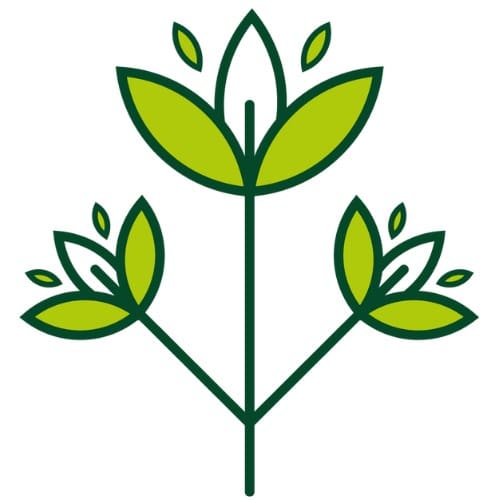 pictogramme fleurs Artificielles et Stabilisées