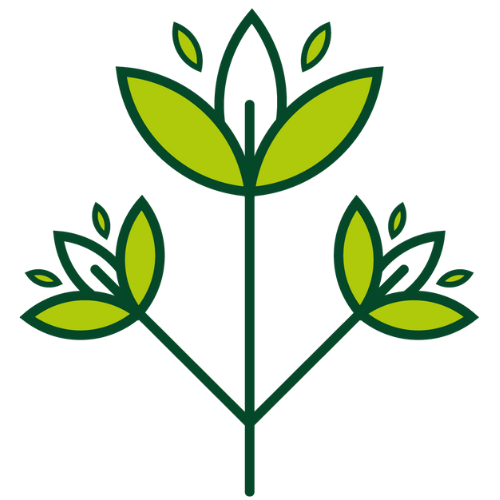 pictogramme fleurs Artificielles et Stabilisées
