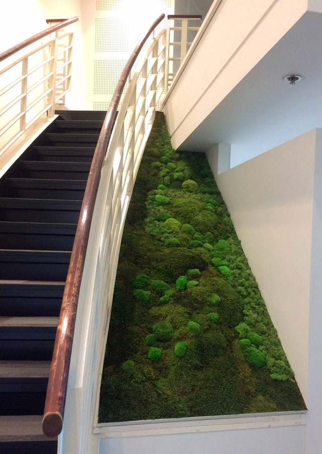 Mur végétal en descente à coté d'un escalier, plante stabilisée, mur végétal stabilisé, mur végétal intérieur, mur végétal naturel, cloison végétalisée, mur végétal artificiel, design végétal, art végétal, création végétale