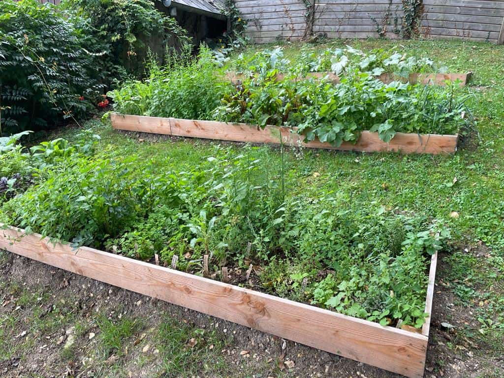 potager, potager d'entreprise, jardin d'entreprise, jardinage en entreprise, légumes, nature, jardin, aromates, bac, potager d'entreprise bac, potager en bac