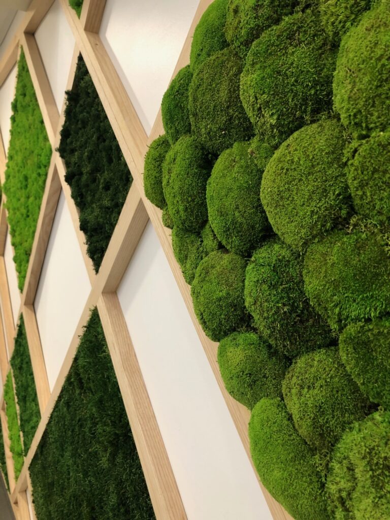 Mur végétal, cadre en bois, sur mesure entreprise, plante stabilisée, tours, cloison végétalisée, design végétal, art végétal, création végétale