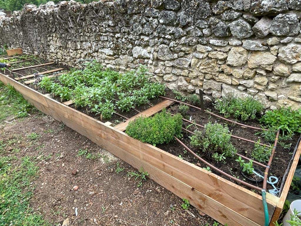 potager, potager d'entreprise, jardin d'entreprise, jardinage en entreprise, légumes, nature, jardin, aromates, teambuilding, potager d'entreprise teambuilding, potager team building