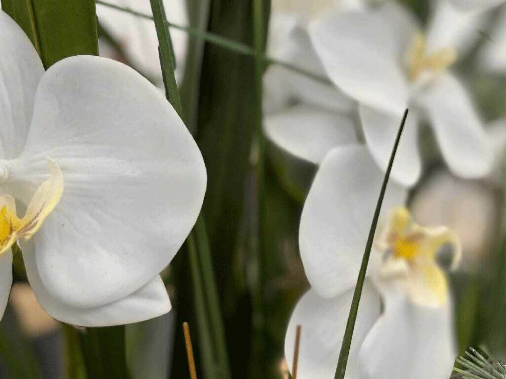 fleur, orchidée stabilisée, fleur artificielle, fleur artificielle haut de gamme, fleur artificielle d'intérieur haut de gamme, fleur artificielle stabilisée