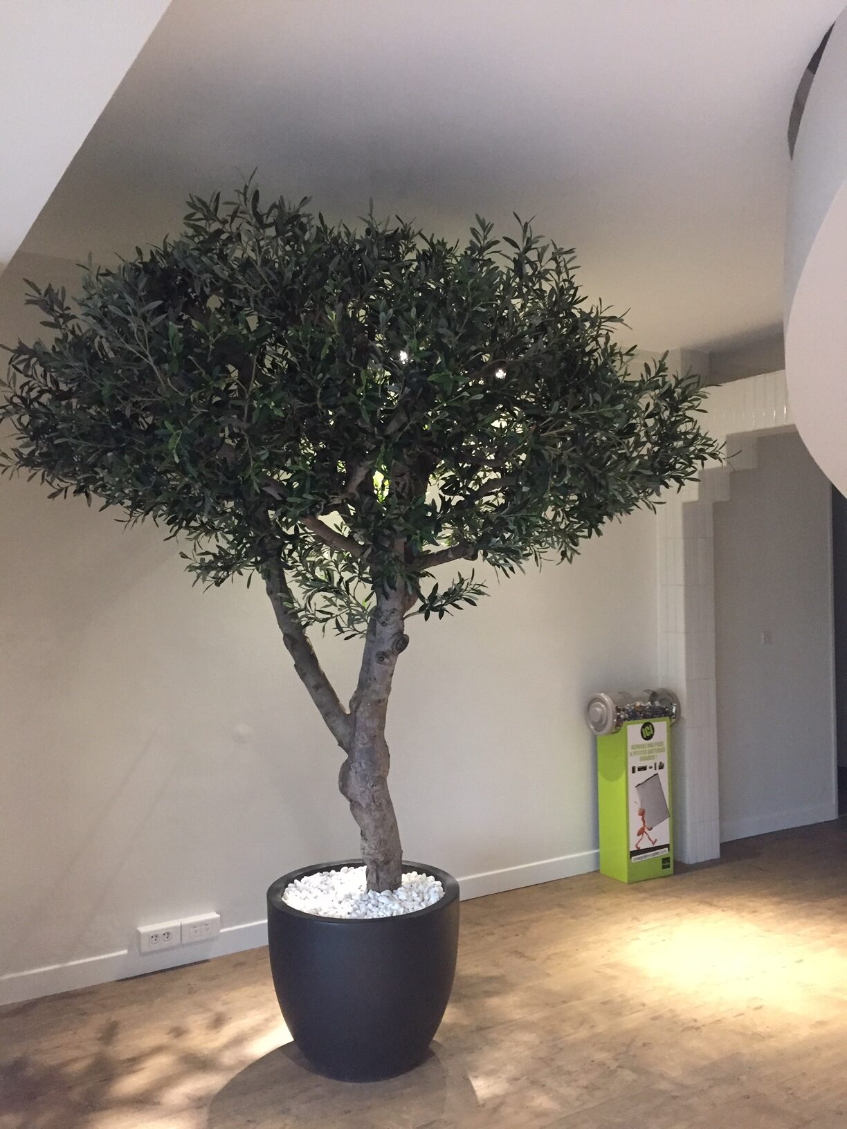 Plante Artificielle Flow Up Aménagement Végétal de vos Locaux — free download