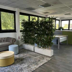 Le Végétal comme cloison pour séparer et créer des espaces​
