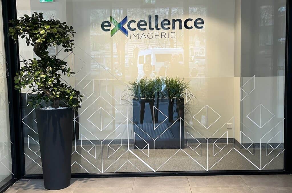 arbre, arbre artificiel réaliste, haut de gamme, décoration, arbre synthétique, faux arbres, arbre artificiel intérieur, vases contemporains, vase design, excellence imagerie