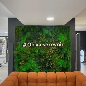 Murs végétaux artificiels stabilisés ou naturels : que choisir ?