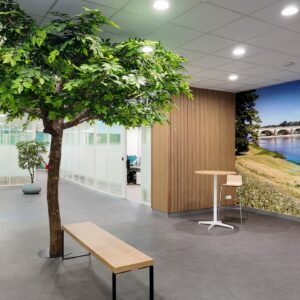 Notre aménagement végétal pour les bureaux Crédit Agricole de Tours